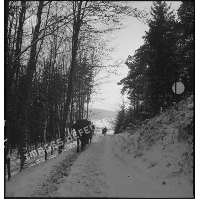 Une patrouille de la 5e armée se déplace dans la neige sur un chemin forestier.