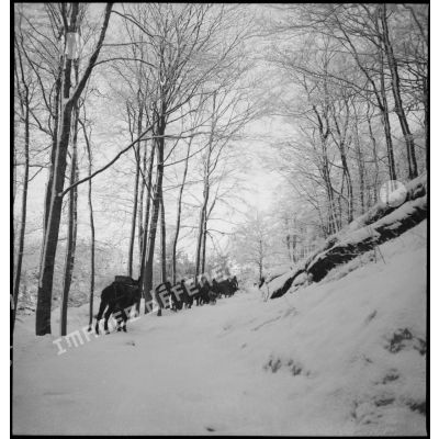 Une patrouille de la 5e armée se déplace dans la neige sur un chemin forestier.