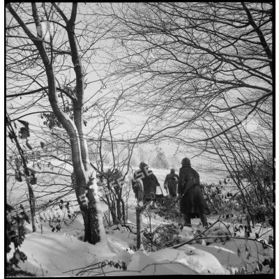 Dans un bois, des soldats de la 5e armée marchent en patrouille, ils sont photographiés de dos.