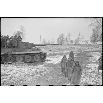 Chargés de fantassins, des chars lourds Tiger du schwere Panzer-Abteilung 505 progressent.
