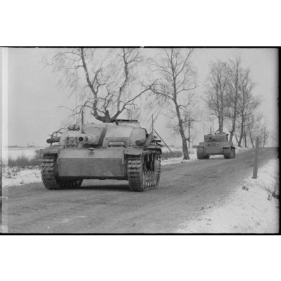 Un canon d'assaut Sturmgeschütz III progresse en protection d'un char lourd Panzer VI Tigre d'un bataillon de chars lourds (peut-être le schwere Panzer Abteilung 505).