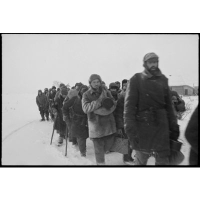 Prisonniers de l'Armée rouge dans le secteur de Witebsk.