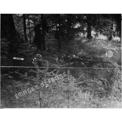 Goumiers du 2e GTM à leur poste de guet dans la forêt vosgienne lors de la progression de la 3e DIA vers Rochesson.
