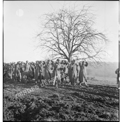 Colonne de prisonniers allemands capturés en grand nombre par des éléments de la 2e DIM dans le secteur d'Héricourt.