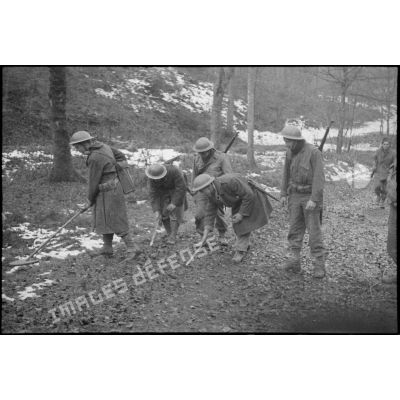 Soldats de la 1re DMI (division de marche d'infanterie) déminant dans un bois sur les hauteurs dominantes au nord-est de Champagney.