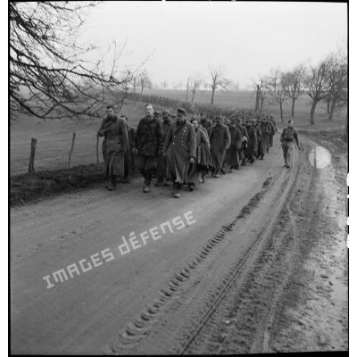 Colonne de prisonniers de guerre allemands sur une route dans le secteur de Dannemarie capturés lors de la reconquête de la région par la 5e DB.