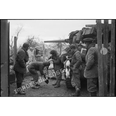 Des soldats du RBFM préparent deux lapins pour leur repas dans le village de Kogenheim (Bas-Rhin).