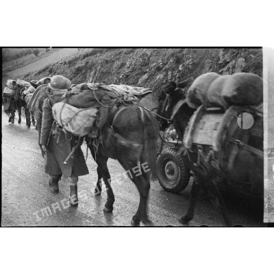 Colonne de tirailleurs marocains de la 2e DIM (division d'infanterie marocaine), avec leurs mulets, avançant sur une route de montagne au-dessus de Thann (Haut-Rhin).