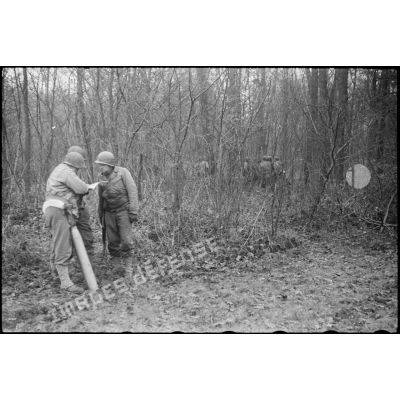 Progression d'hommes de la 2e DB (division blindée) dans un bois dans le secteur de Benfeld et Wintternheim (Bas-Rhin).