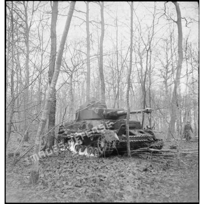Char Panzer IV allemand endommagé et abandonné dans une forêt alscasienne.