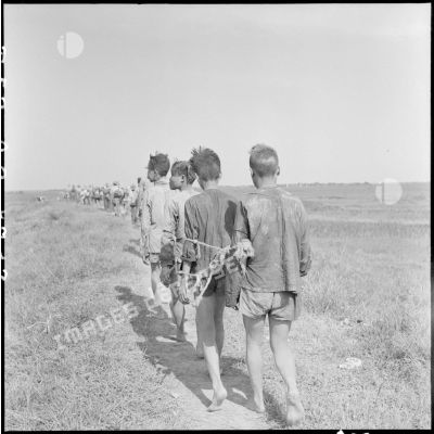 Des prisonniers entravés suivent une colonne qui progresse à travers les rizières lors de l'opération Brochet.