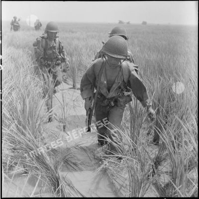Progression d'éléments du 2e BEP (bataillon étranger de parachutistes) dans les rizières lors de l'opération Brochet.