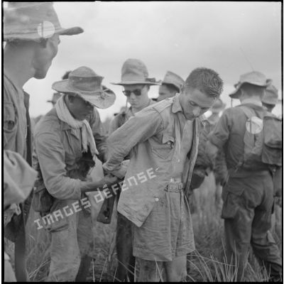 Arrestation dans une rizière d'un légionnaire européen rallié au Vietminh, par des éléments du 43e régiment d'infanterie coloniale au cours de l'opération Tourbillon 2 en plaine des Joncs.