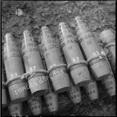 Plan rapproché d'obus stockés dans un bois près du village d'Audigny.
