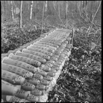 Plan moyen d'obus stockés dans un bois près du village d'Audigny.
