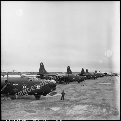 Alignement d'avions bombardiers PB4Y-2 Privateers de la flotille 28F sur le terrain de Cat Bi.