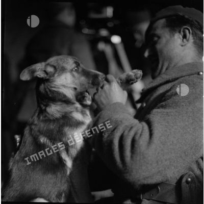 [Fantassin du 80e RI (régiment d'infanterie) de la 42e DI (division d'infanterie) et un chien à Solgne (Moselle), octobre 1939.]
