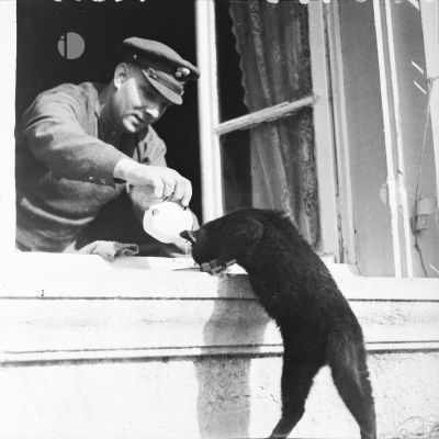 [Militaire du cantonement anglais de Kedange (Moselle) nourrissant un chat, s.d.]