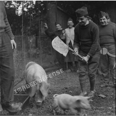 [Photographie de groupe de cuisiniers (151e RI ?), l'un d'entre eux mimant de tuer un cochon.]