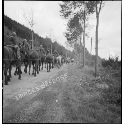 Un convoi hippomobile de la 2e armée se déplace sur une route, il est photographié en plan général de trois quarts.