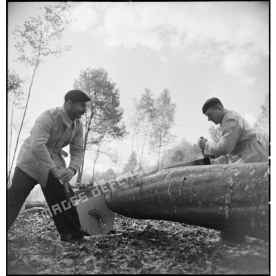 Des bûcherons coupent du bois dans une exploitation forestière militaire.