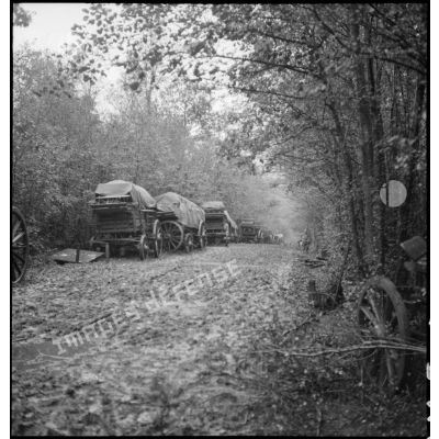 Des fourgons omnibus de la 2e armée sont photographiés abandonnés sur le bord d'un chemin forestier.
