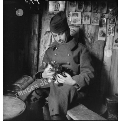 Portrait d'un soldat de la 2e armée avec deux petits chats.