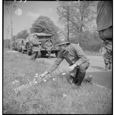 Une colonne motorisée française est à l'arrêt sur une route dans le secteur de la 2e armée.