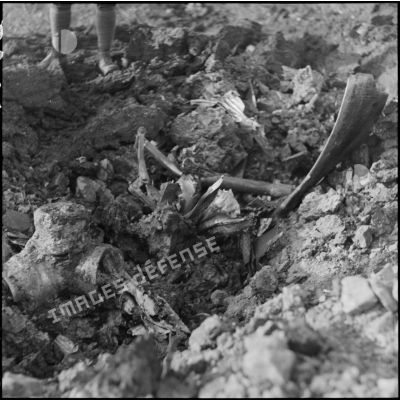 Plan rapproché des débris d'un avion allemand abattu dans le secteur de la 3e armée.