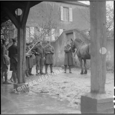 Devant un abreuvoir des soldats inspectent un cheval de trait.