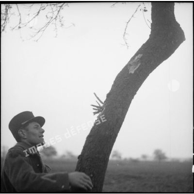 Des soldats de la 3e armée regardent des impacts sur un tronc d'arbre.