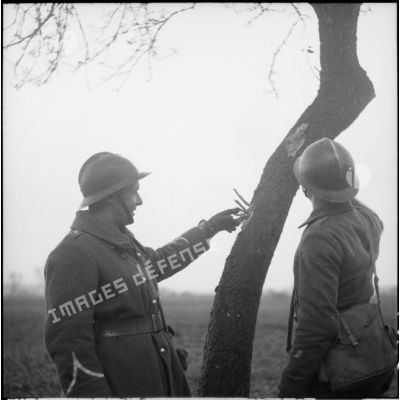 Des soldats de la 3e armée regardent des impacts sur un tronc d'arbre.