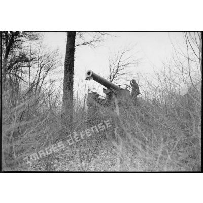 Mise en batterie d'un canon de 194 GPF sur affût chenillé dans un bois du secteur de la 4e armée.