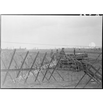 En Alsace, des soldats de la 5e armée participent aux travaux des champs.