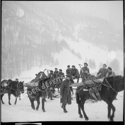 Des chasseurs alpins de la 6e armée accompagnent une colonne muletière portant des fardeaux de bois.