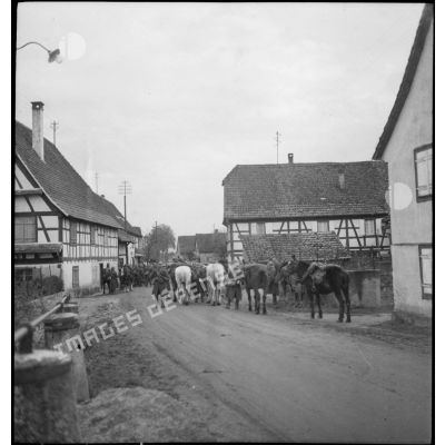 Chasseurs à cheval de la 8e armée réunis à l'entrée d'un village évacué.