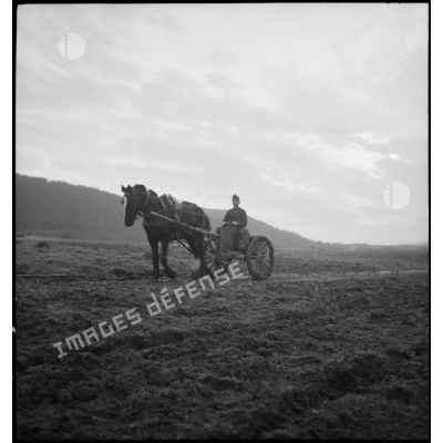 Un soldat, assis sur un chariot tiré par un cheval, travaille dans un champ.