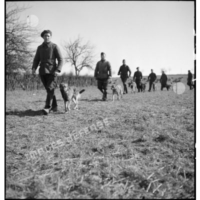 Soldats marchant l'un derrière l'autre avec leurs chiens lors d'une formation cynophile.