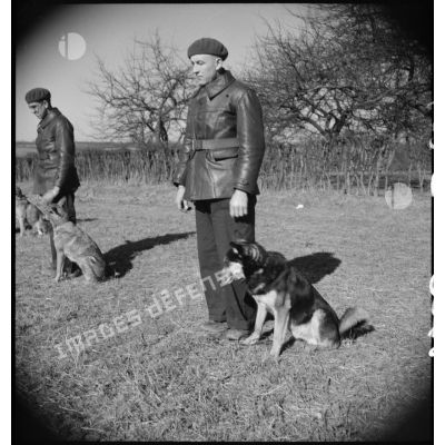 Plan large d'un soldat et de son chien lors d'une formation cynophile.