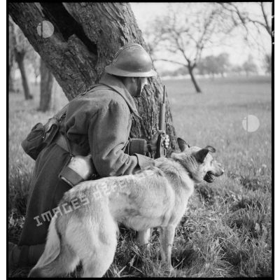 Un chien se tient aux côtés de son maître, un soldat de la 5e armée.