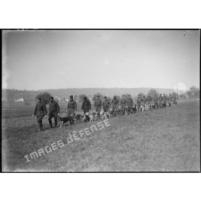 Des maîtres-chiens de la 5e armée et leur animal marchent en colonne dans un champ.