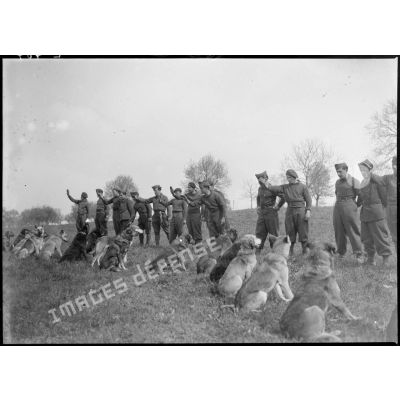 Des maîtres-chiens de la 5e armée et leur animal s'entraînent dans un champ.