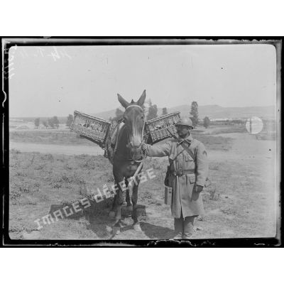 Izvor (Thessalie). Pigeons voyageurs militaires. Estafette d'infanterie emportant le pigeon aux lignes. (Juillet 1917). [légende d'origine]