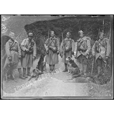 Herrenstubenkopf, en direction du camp Bataille, soldats du 106e d'infanterie et leurs chiens. [légende d'origine]