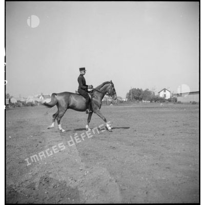 Un cheval, monté par un écuyer du Cadre Noir, est au galop.