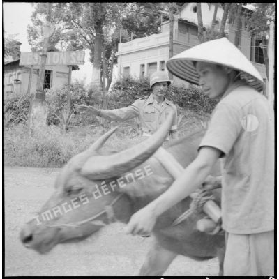 A Lang Son, un soldat de la régulation routière fait la circulation tandis qu'un vietnamien passe avec un boeuf.