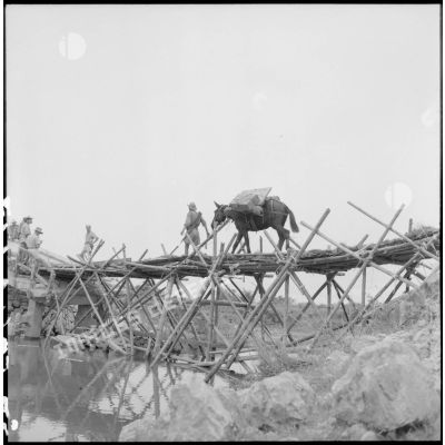 Passage sur un pont de bambous d'une colonne muletière progressant sur la RC 3 (route coloniale n°3) vers Thaï Nguyen.