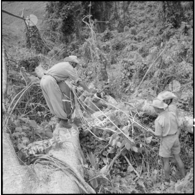 Récupération de parachutes largués sur le village de Chieng Nuoi, ayant atterri en forêt, par des éléments du 17e tabor.