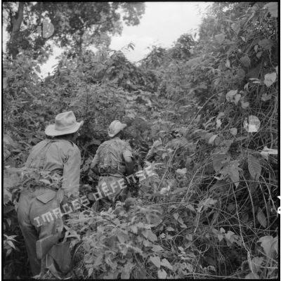 Patrouille du 17e tabor dans la jungle aux environs du village de Chieng Nuoi.