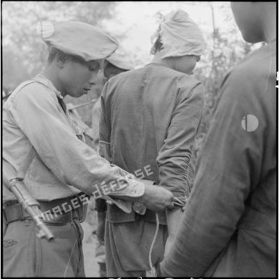 Un soldat vietnamien ligote les mains d'un partisan du Vêt-minh fait prisonnier au cours de l'opération Chinchilla.